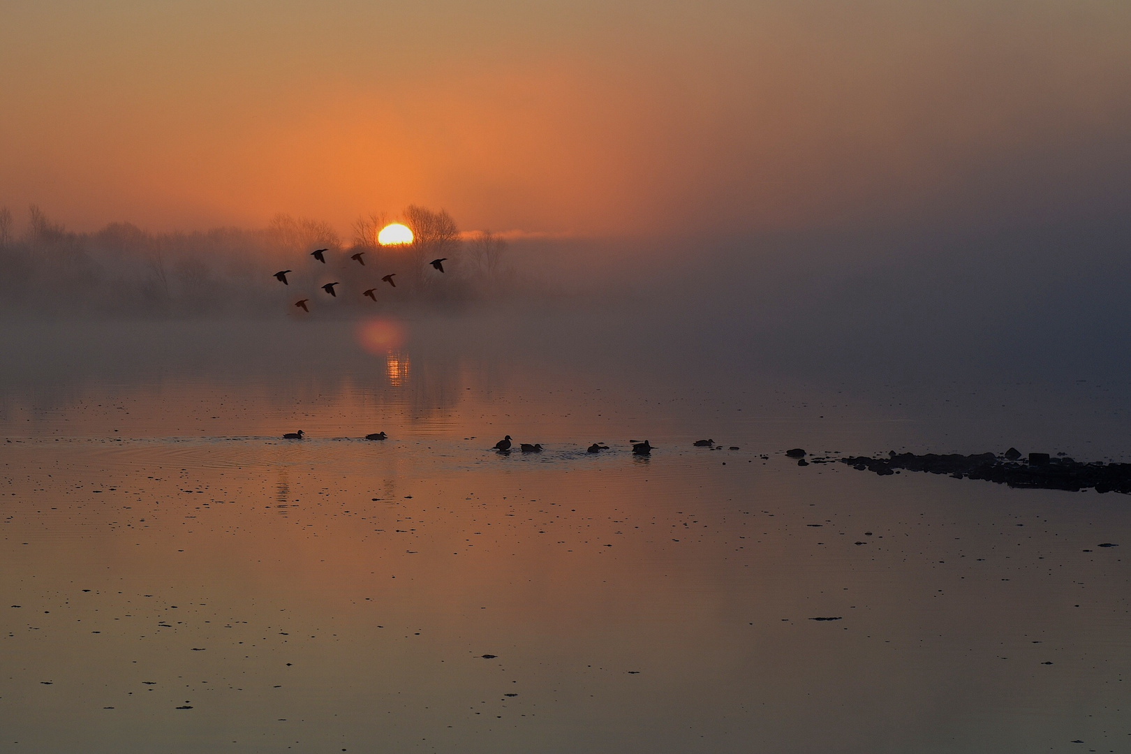 Sonnenaufgang an der Elbe, nahe Lauenburg...mit Blick in Richtung Boizenburg..