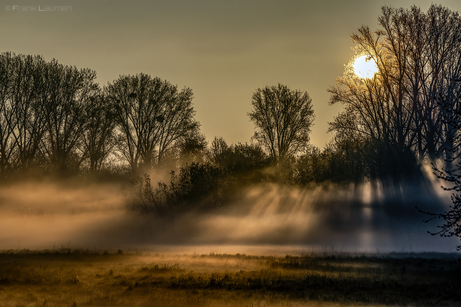 Sonnenaufgang an der Erft