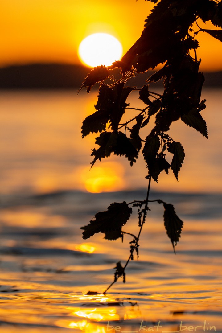 Sonnenaufgang an der Havel