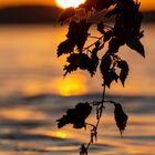 Sonnenaufgang an der Havel