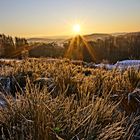 Sonnenaufgang an der Kalteiche