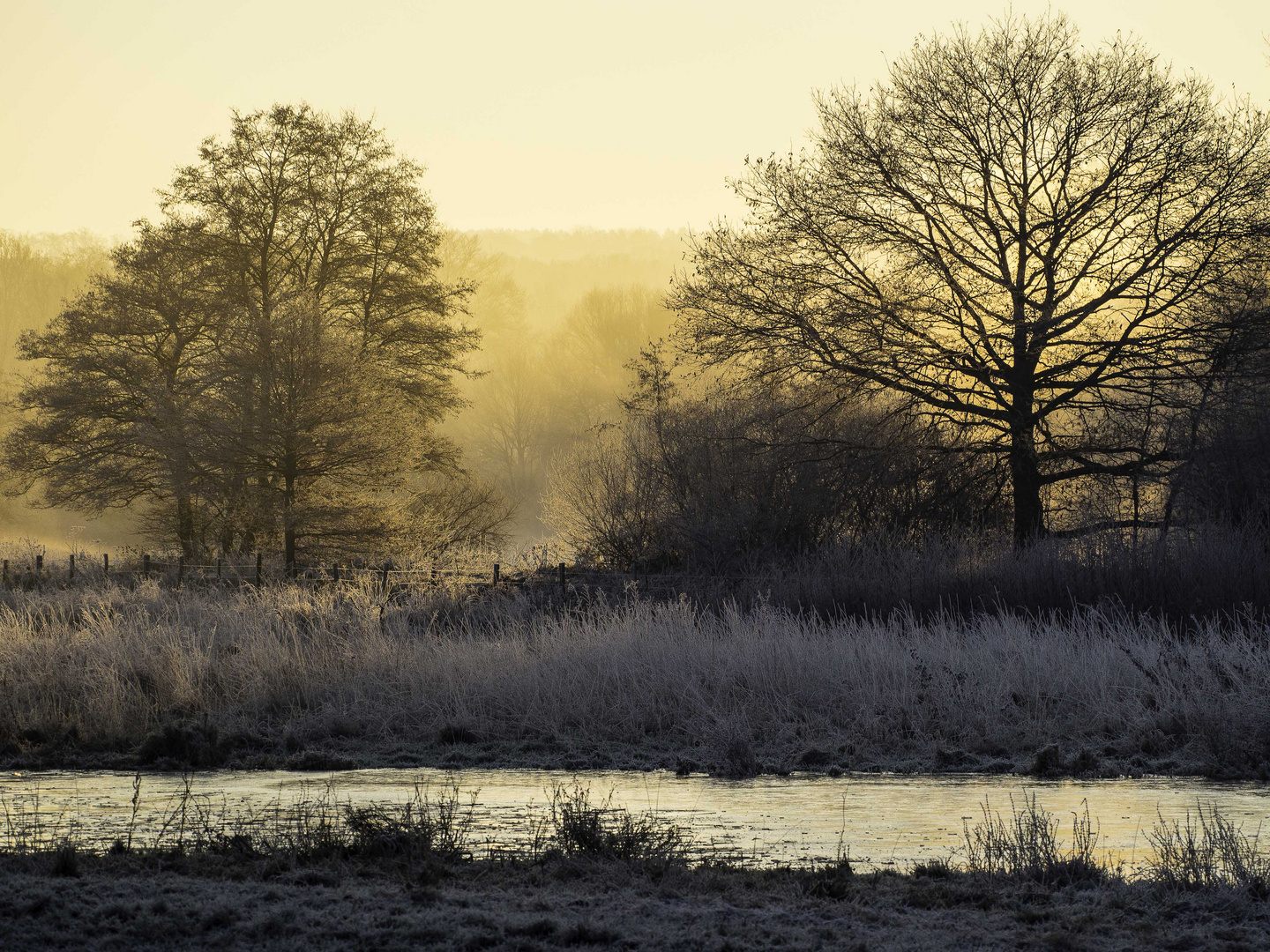 Sonnenaufgang an der Kibietzwiese in Fröndenberg