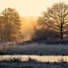 Sonnenaufgang an der Kibietzwiese in Fröndenberg