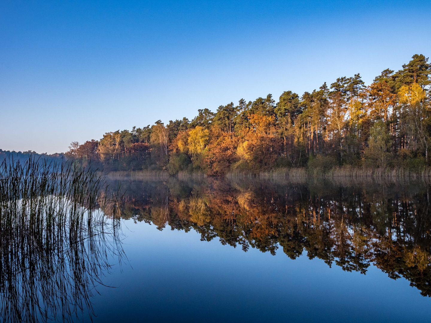 Sonnenaufgang an der Krummen Lake