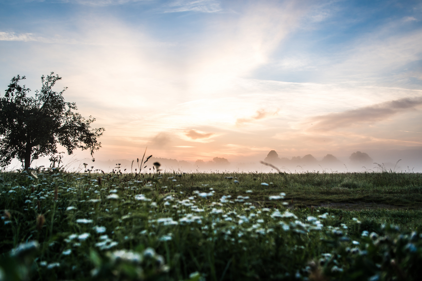 Sonnenaufgang an der Lahn