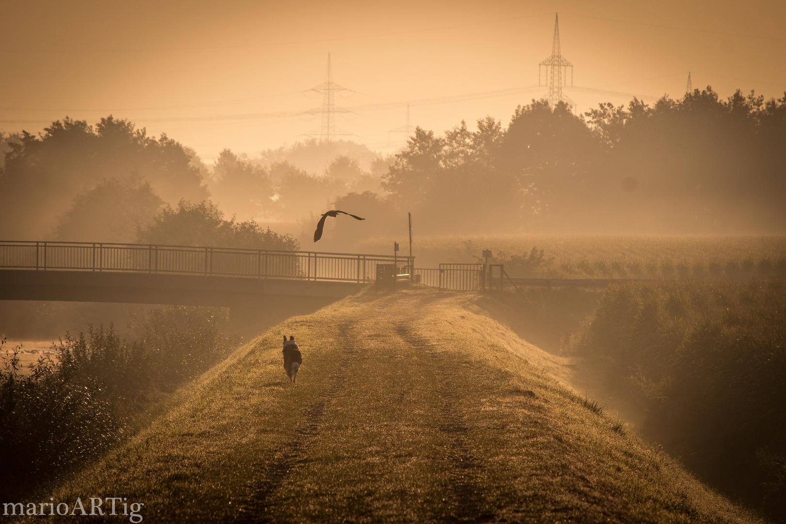 Sonnenaufgang an der Lippe