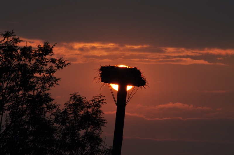 Sonnenaufgang an der Lippe