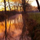 Sonnenaufgang an der Memminger Ach