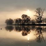 Sonnenaufgang an der Mosel bei Trier