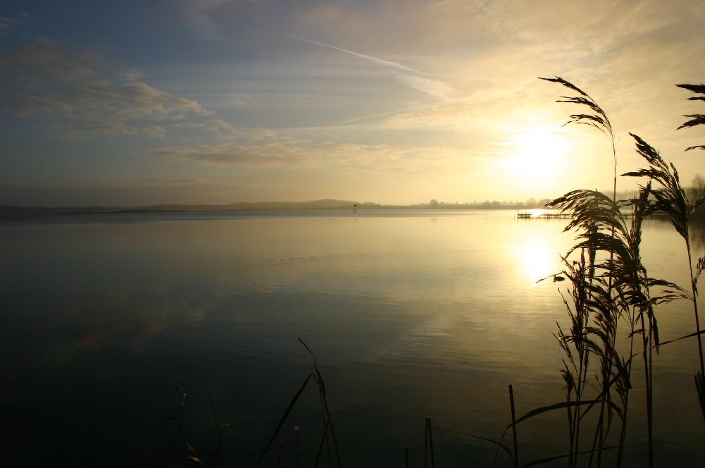 Sonnenaufgang an der Müritz - MeckPomm