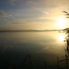 Sonnenaufgang an der Müritz - MeckPomm