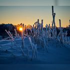 Sonnenaufgang an der Mulde