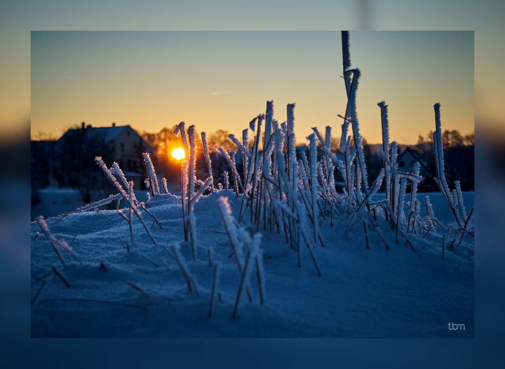 Sonnenaufgang an der Mulde