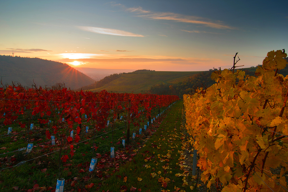 Sonnenaufgang an der Nahe