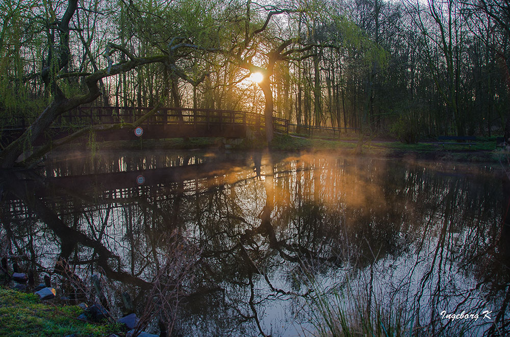 Sonnenaufgang an der Nette