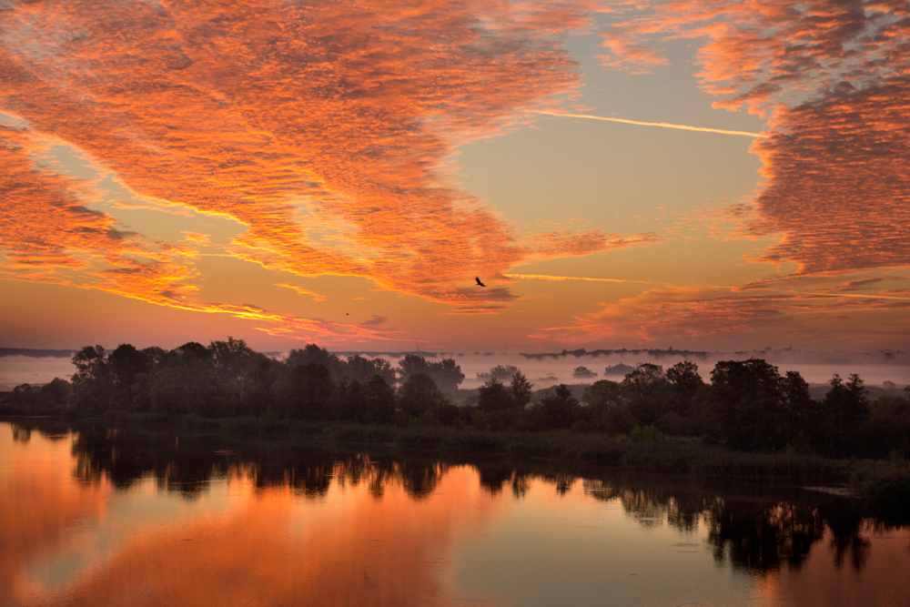 Sonnenaufgang an der Oder