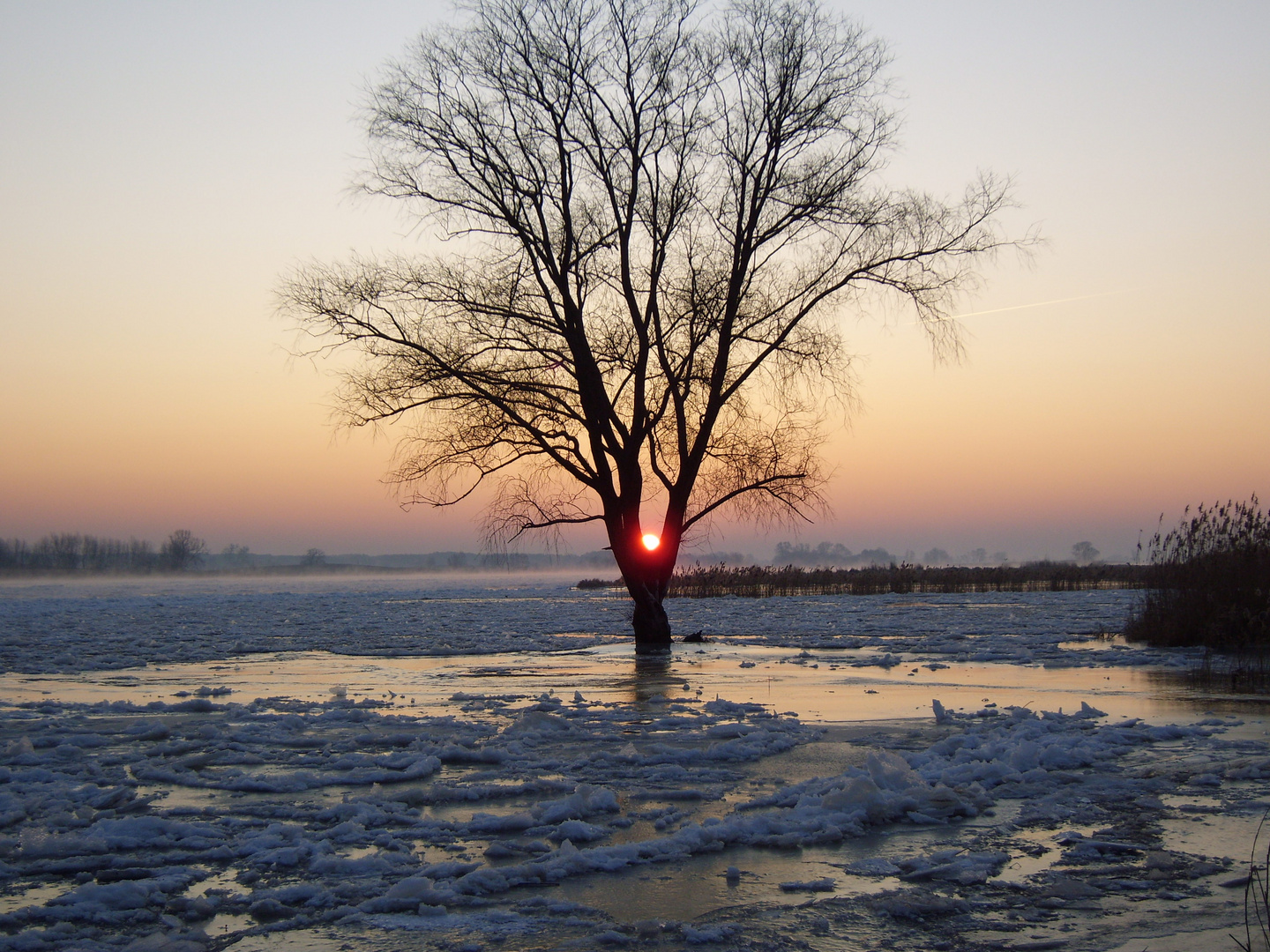 Sonnenaufgang an der Oder