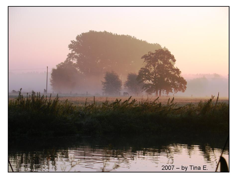 Sonnenaufgang an der Oker #2