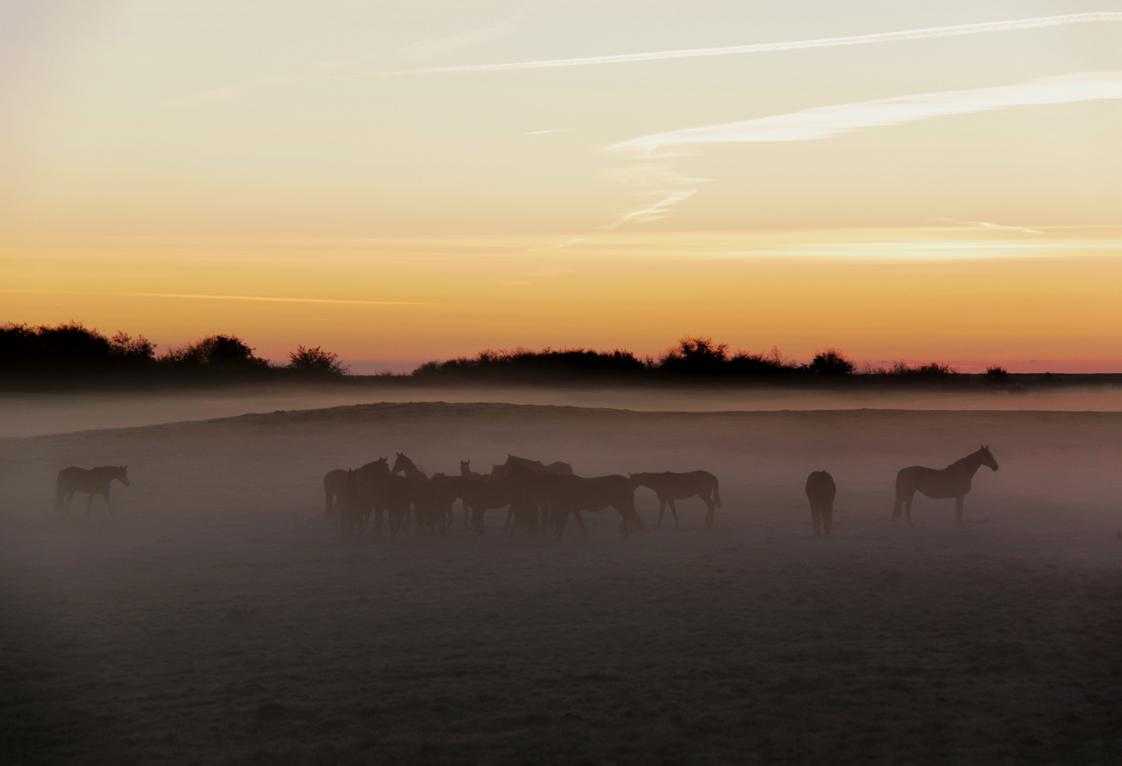 Sonnenaufgang an der Ostsee