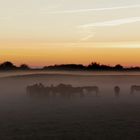 Sonnenaufgang an der Ostsee