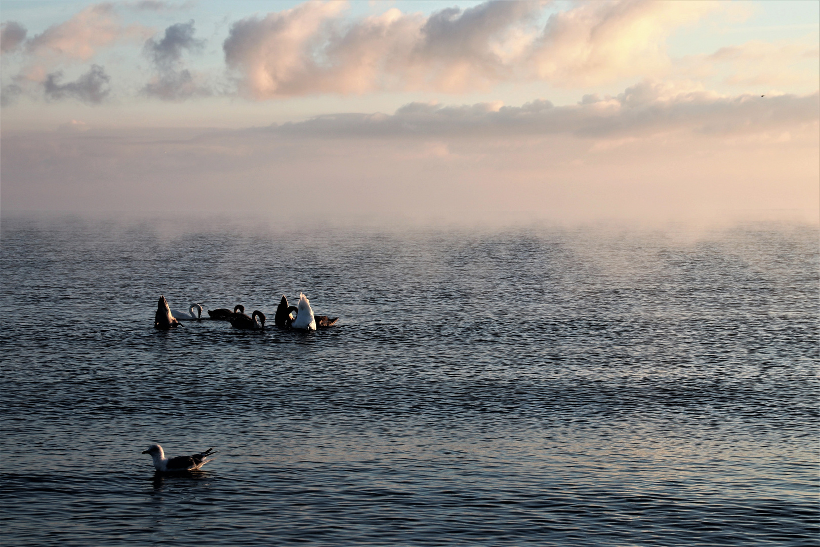 Sonnenaufgang an der Ostsee