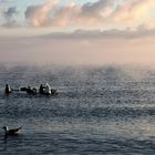 Sonnenaufgang an der Ostsee