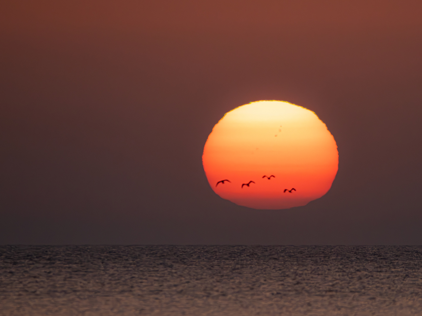 Sonnenaufgang an der Ostsee