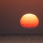 Sonnenaufgang an der Ostsee