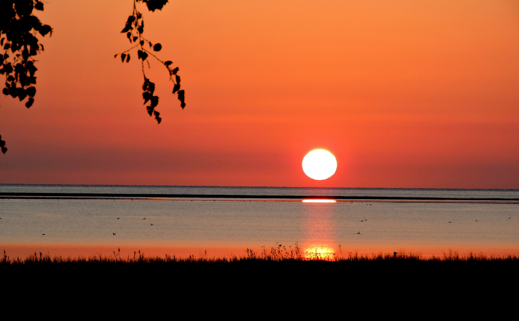 Sonnenaufgang an der Ostsee in østerhurup / Als-DK