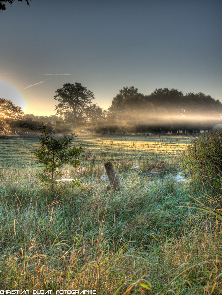 Sonnenaufgang an der Pferdekoppel