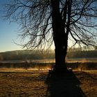 Sonnenaufgang an der Ruhr 