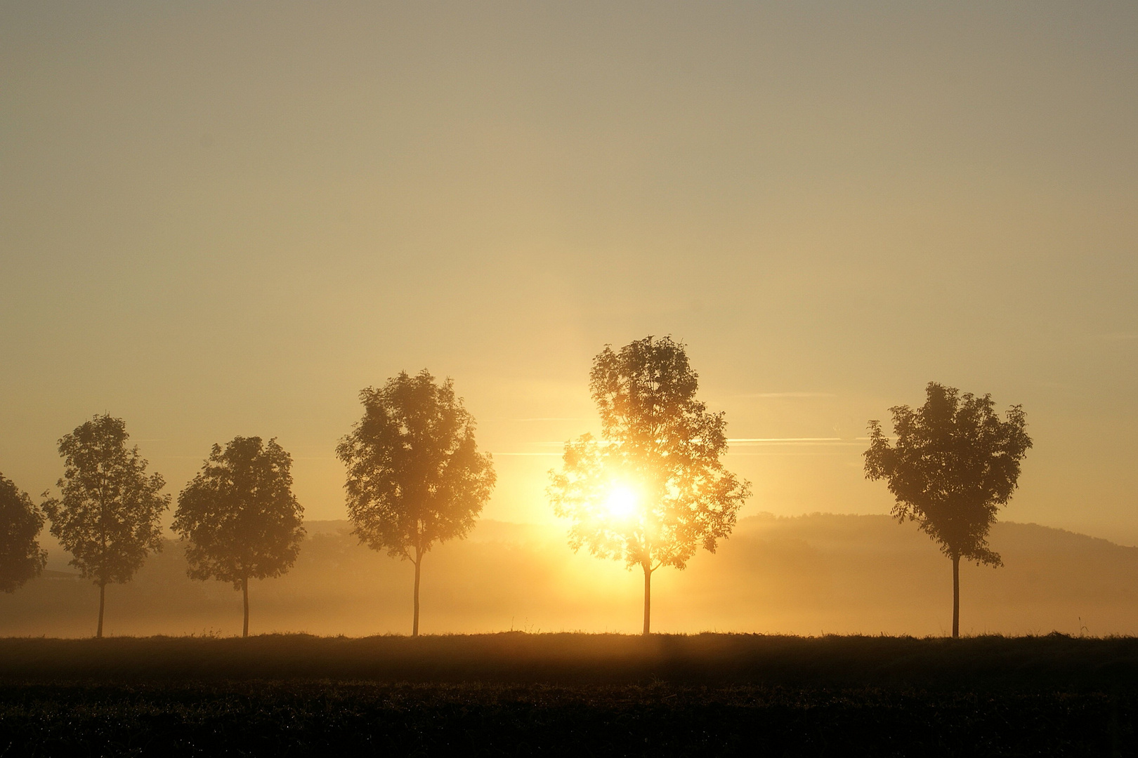 Sonnenaufgang an der Ruhr