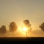 Sonnenaufgang an der Ruhr