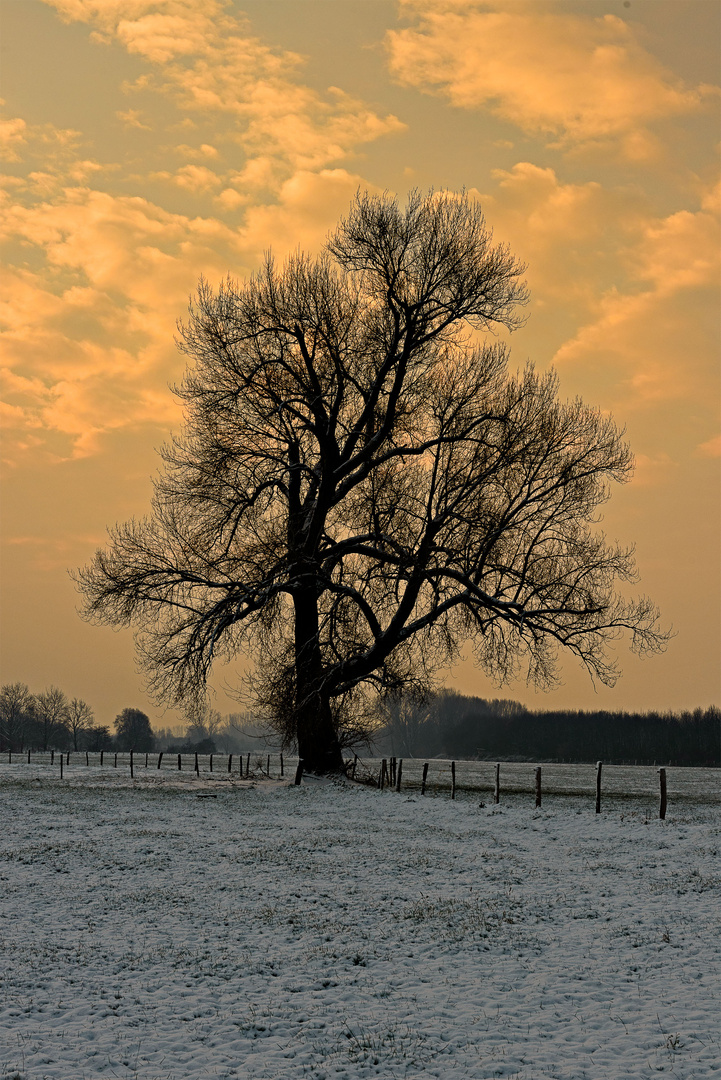 Sonnenaufgang an der Rur