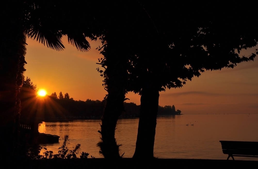 Sonnenaufgang an der Seestrasse in Konstanz