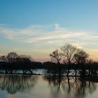 Sonnenaufgang an der Sieg bei Hochwasser