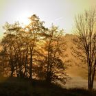 Sonnenaufgang an der Sieg