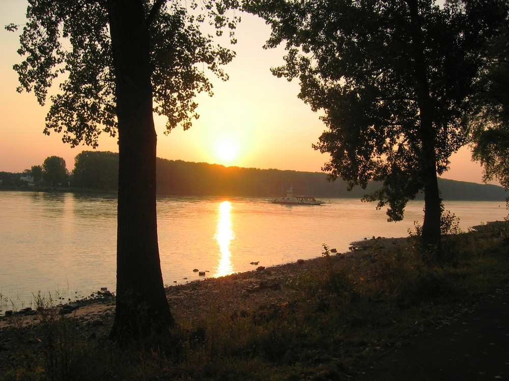 Sonnenaufgang an der Siegmündung