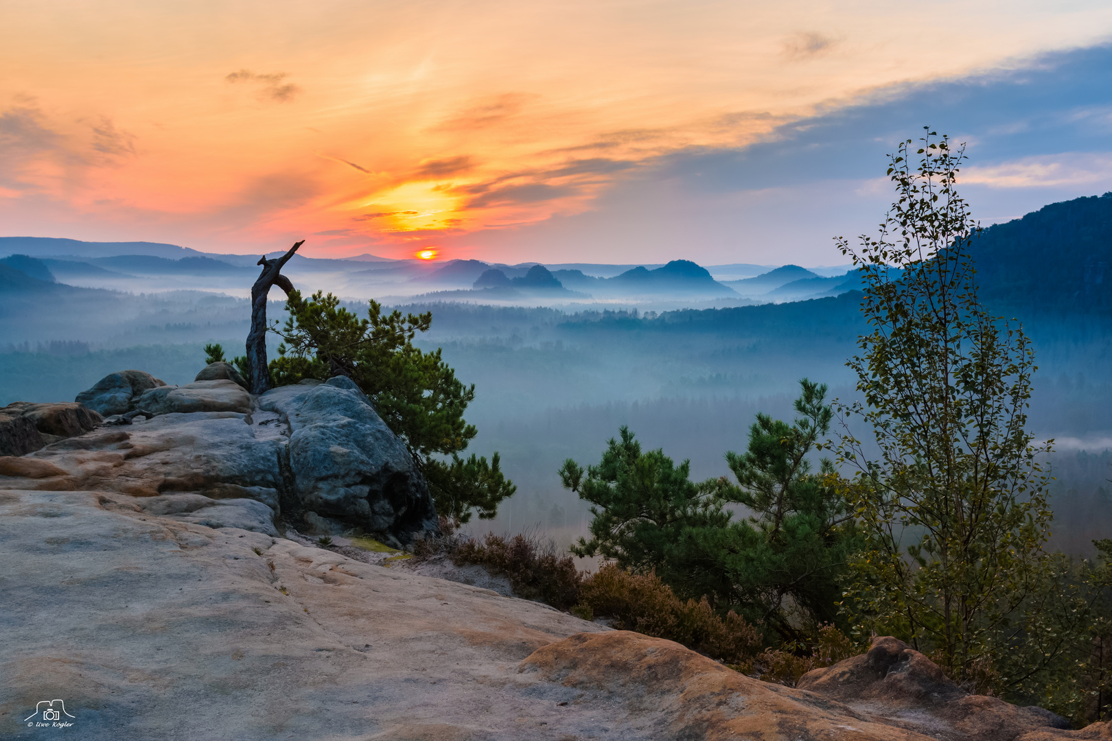 Sonnenaufgang an der Stativkiefer