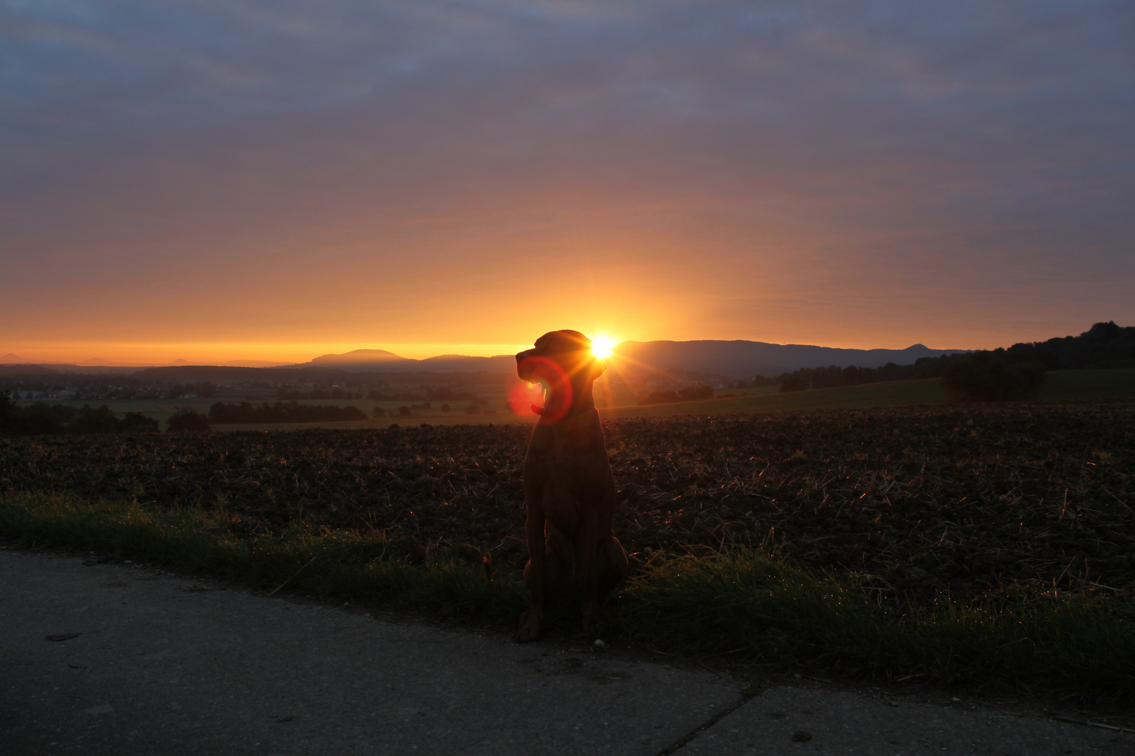 Sonnenaufgang an der Teck