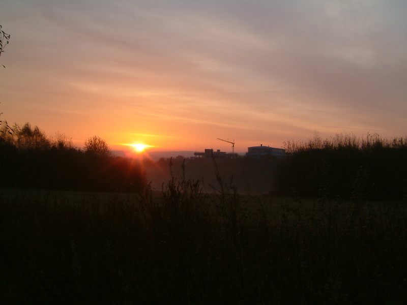 Sonnenaufgang an der Uni