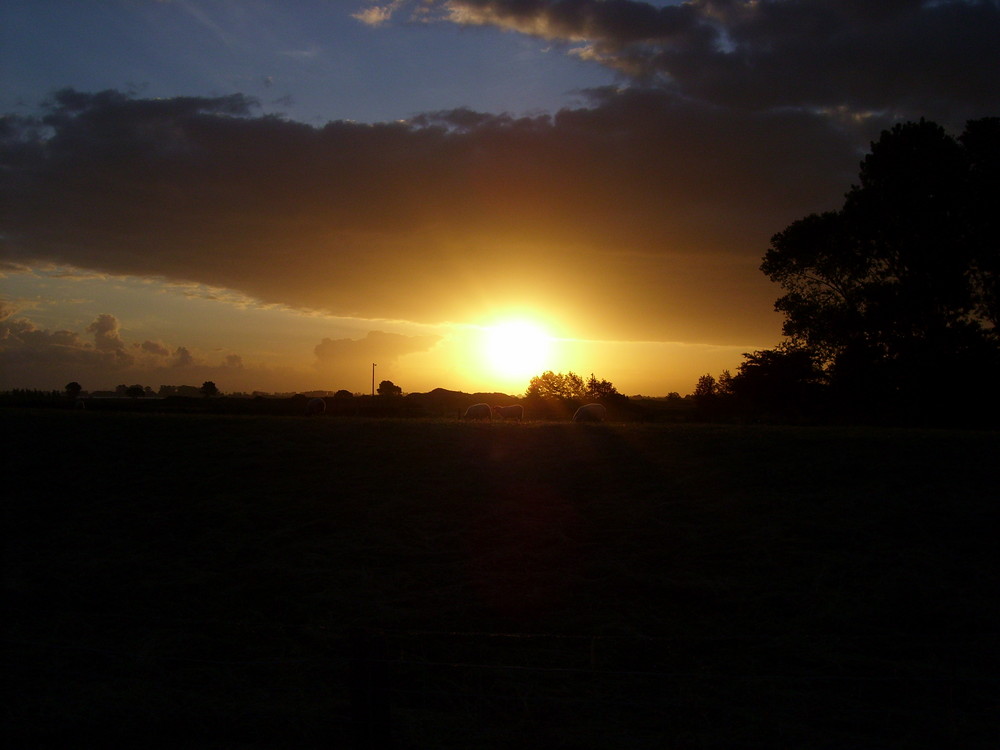 Sonnenaufgang an der Weser