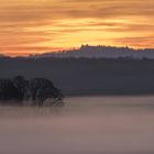 Sonnenaufgang an der Wurzelbach