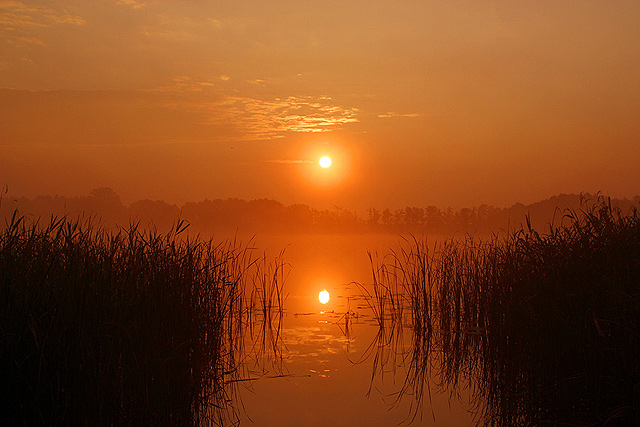 Sonnenaufgang an einem mecklenburgischen See