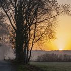 Sonnenaufgang an einem nebligen Morgen