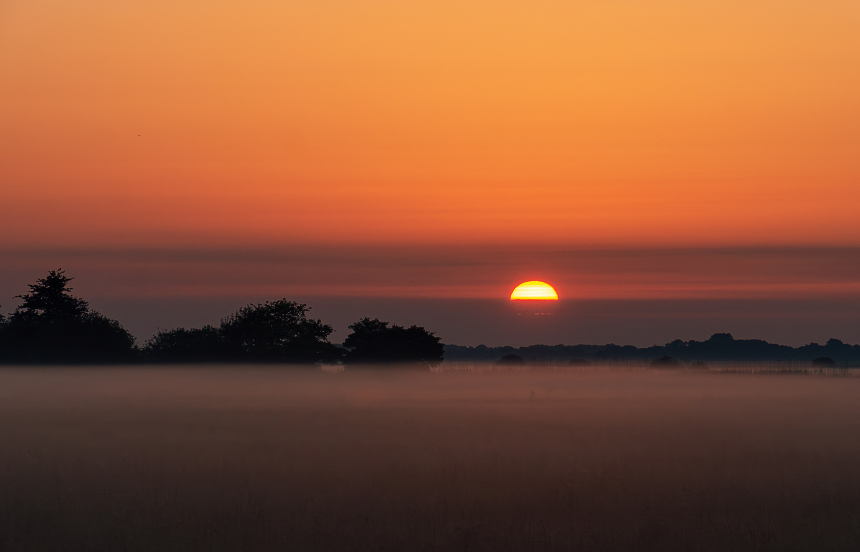 Sonnenaufgang an einem nebligen Morgen