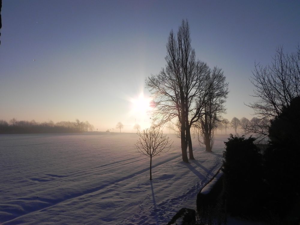 Sonnenaufgang an einem schönen Dezembermorgen von Carsten Jochmann 