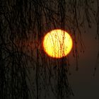 Sonnenaufgang an einem winterlichen Morgen