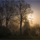 Sonnenaufgang an einem Wochentag