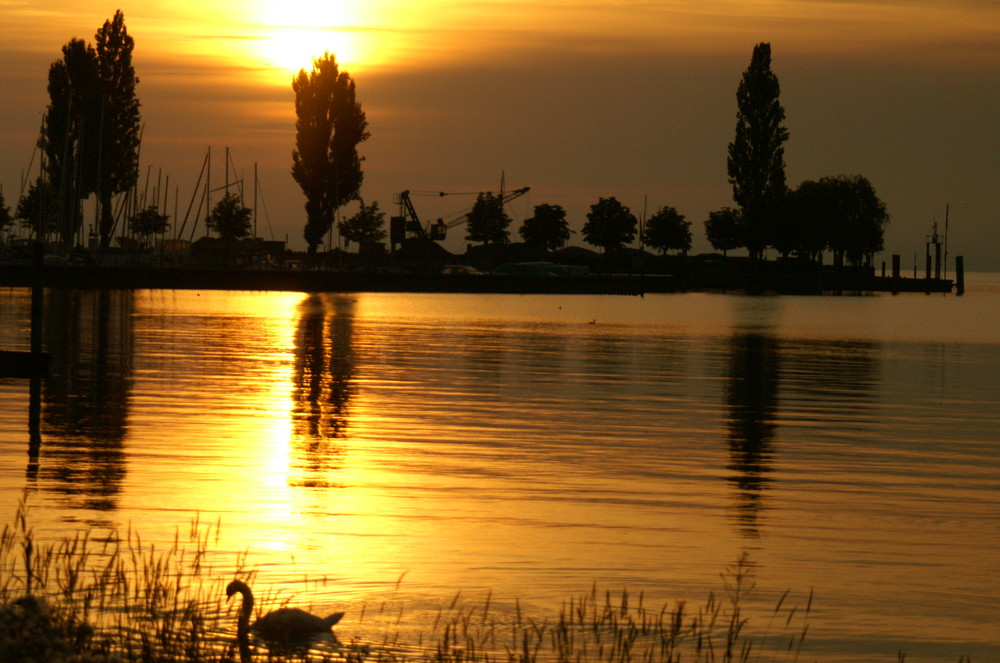 Sonnenaufgang Arbonerhafen 6 Uhr morgens